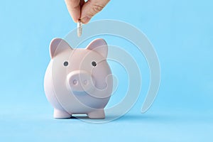 Piggy bank on a blue background. concept of preserving and saving money. dollars in the piggy bank