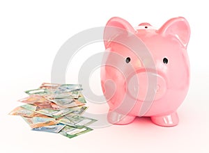 Piggy bank and a bundle of dollars from New Zealand. Money savings concept / isolated of the white background