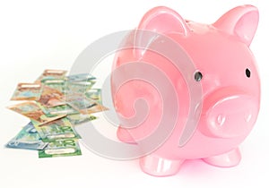 Piggy bank and a bundle of dollars from New Zealand. Money savings concept / isolated of the white background