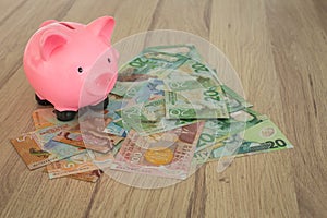 Piggy bank and a bundle of dollars from New Zealand. Money savings concept / isolated of the white background