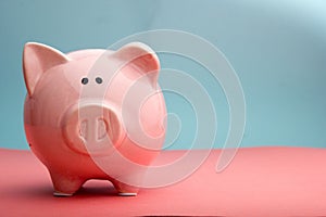 Piggy bank. business, finance, investment and saving concept. Copy space for text