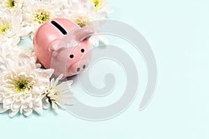 Piggy bank with chrysanthemum flowers on blue background