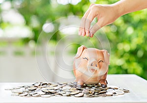 A piggy bank on coin pilek, money saving concept