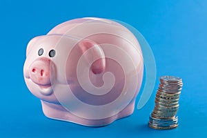 Piggy Bank and Coins