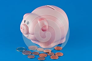 Piggy Bank and Coins