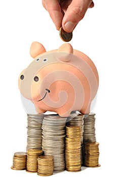 Piggy Bank and Coins