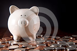 Piggy Bank & Coins