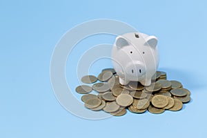 Piggy bank and coins on the blue background. Saving investment budget wealth business retirement, financial, money, banking