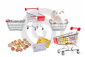 piggy bank, coins, demo of credit card on white background.