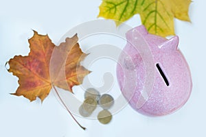 Piggy Bank coins and fallen leaves on white background. Autumn sale discounts