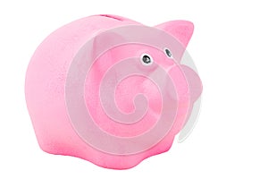 piggy bank for coins pink pig close up on a white background