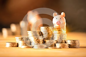 A piggy bank on coins for saving money concept, Invest management of business, insurance life in future.