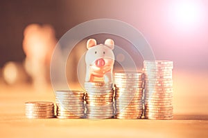 A piggy bank on coins for saving money concept, Invest management of business, insurance life in future.