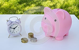 Piggy bank and coins on the table on a blurred green garden background