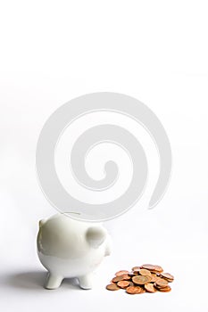 Piggy bank. White ceramic moneybox