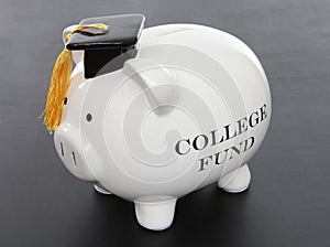 Piggy Bank for College
