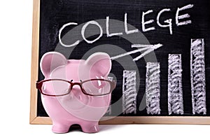 Piggy Bank with college savings or fees chart