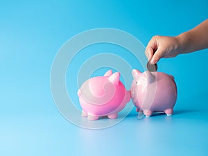 Piggy bank for creative financial saving and deposit concept with copy space