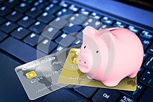 Piggy Bank and Credit Cards on Computer Keyboard Financial Concept