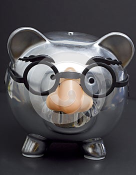 Piggy Bank in Disguise