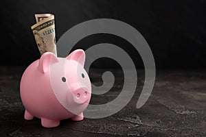 Piggy bank with dollars on a black texture background.Money saving concept.