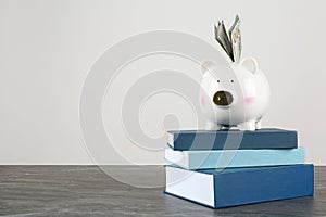 Piggy bank with dollars on books against white background.