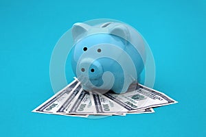 A piggy bank with dollars stands on a turquoise background.