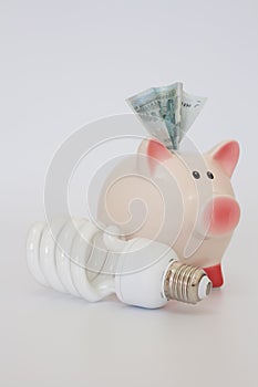 Piggy bank and a energy-saving bulb