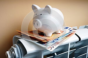 Piggy bank and euro banknotes on the heating radiator.