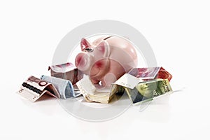 Piggy bank with euro notes and Swiss francs