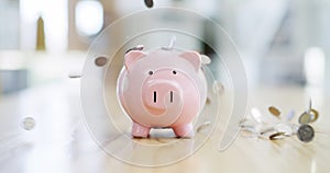 Piggy bank, financial and budget savings with cash or change, for investment and growth. Finance, success and invest in