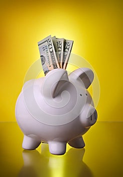 Piggy Bank Financial Investment Savings w/ Money