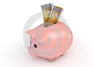 Piggy Bank With Franc Banknotes