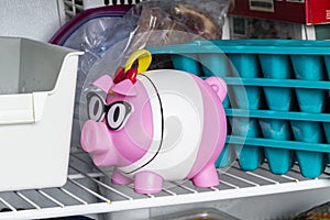 Piggy Bank In Freezer Showing Concern Over Food Prices