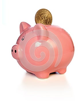 Piggy Bank With Gold Coin