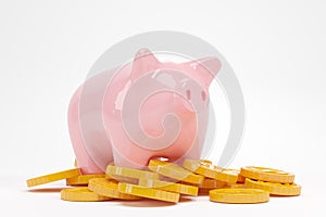 Piggy bank with gold coins on empty white background