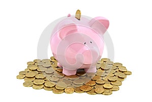 Piggy Bank with golden coins