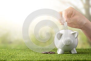 A piggy bank on a grass background and a female hand inserts coins in quarter coins. A concept of saving money. Saving. view from