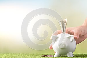 A piggy bank on a grass background and a female hand inserts US dollars. The concept of saving money. Saving. view from above