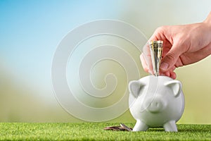 A piggy bank on a grass background and a female hand inserts US dollars. The concept of saving money. Saving. view from above