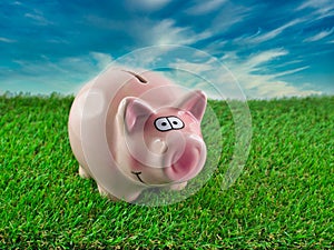 Piggy bank in green field and behind cloudy sky