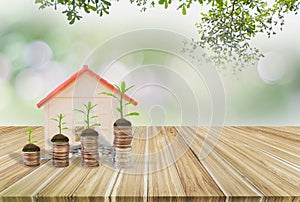 Piggy bank green,wooden table,tree growing on stack coins,house model,Background nature blurred,concept financial growth saving,