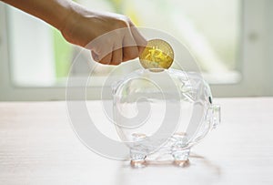 Piggy bank, hand holds golden bitcoin coin virtual money. Cryptocurrency and saving concept