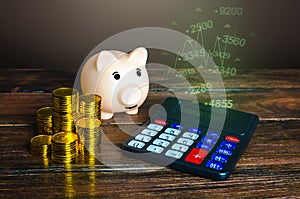 Piggy bank is happy with high incomes. Filling of funds, growth of profit and profitability. Growing savings. Successful business