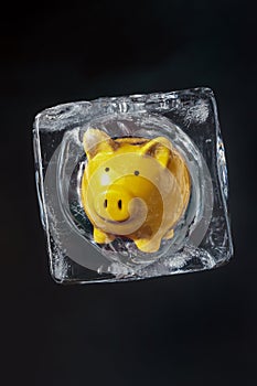 Piggy bank inside ice block