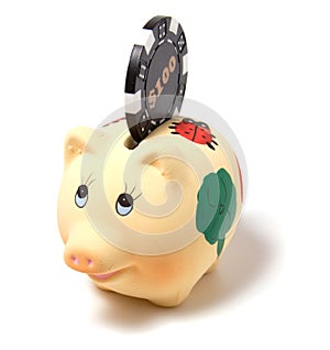 Piggy bank isolated on white background