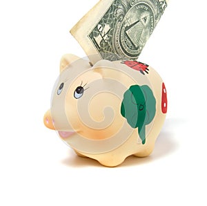 Piggy bank isolated on white background