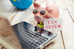 Piggy bank, laptop, globe,palm- tax haven concept