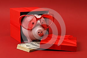 Piggy bank in love with red heart sunglasses standing in gift box with ribbon and with stack of money american hundred dollar bill