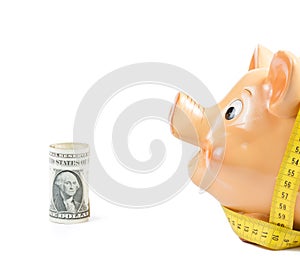 Piggy bank and measure tape near dollars, concept for business and save money